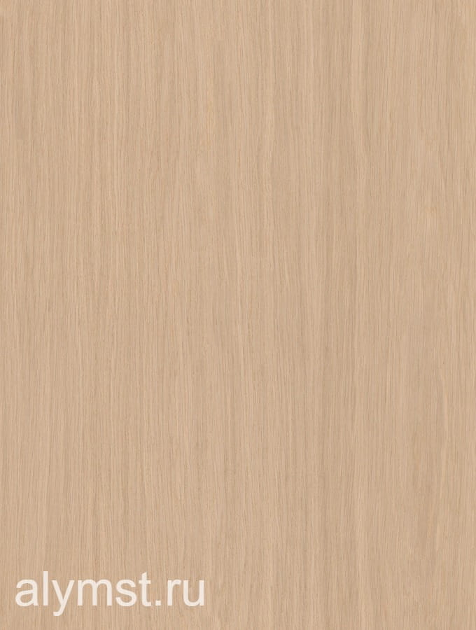 AlymST-W0821