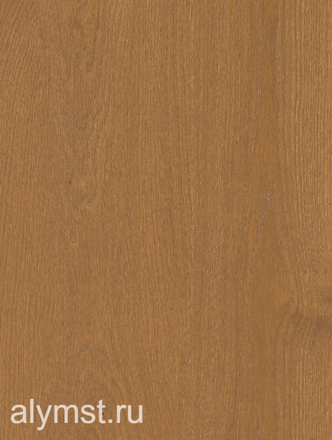 AlymST-W1285