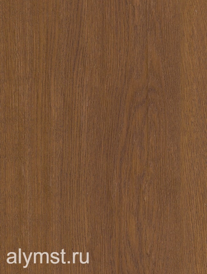 AlymST-W1251