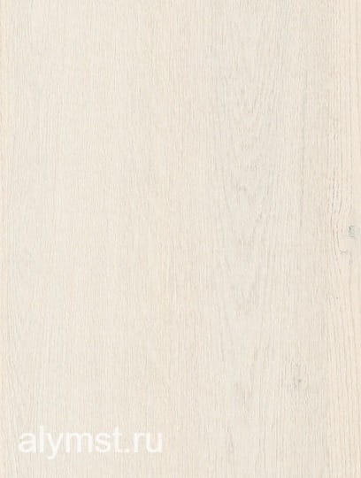 AlymST-W1391